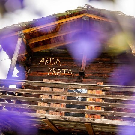Korn-Stadel Arida Prata "Natur Pur" Grächen Exterior foto