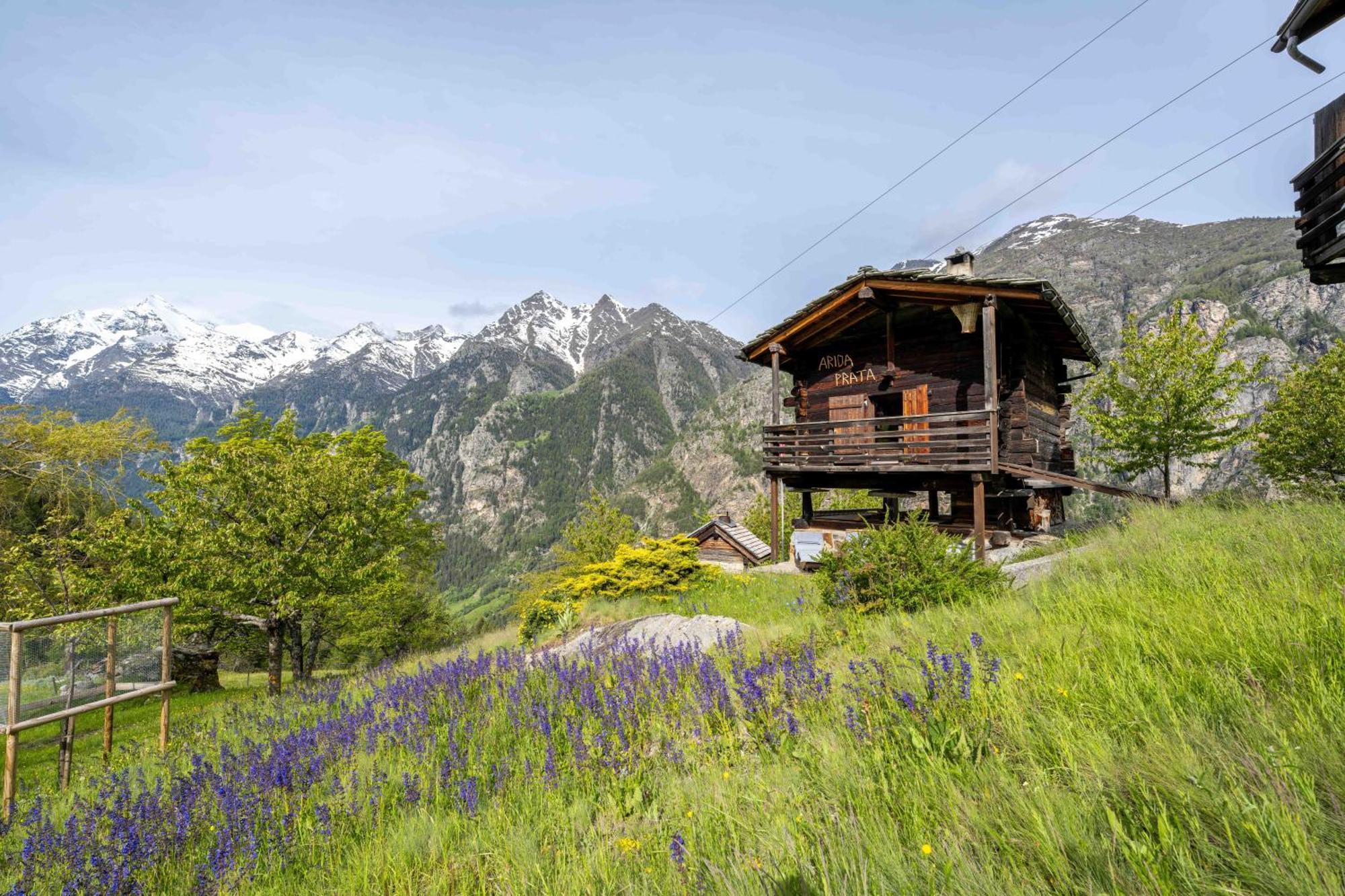 Korn-Stadel Arida Prata "Natur Pur" Grächen Exterior foto