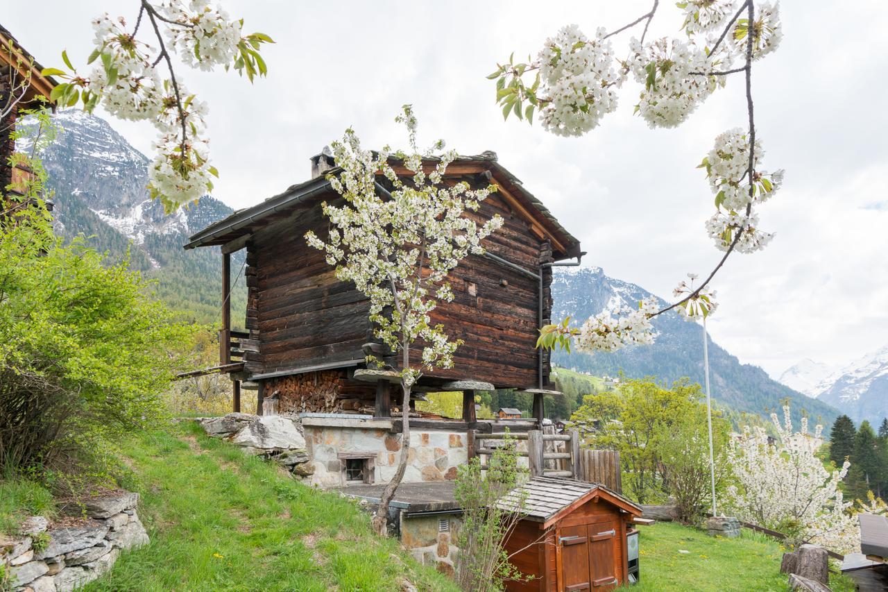 Korn-Stadel Arida Prata "Natur Pur" Grächen Exterior foto